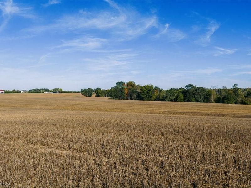 15 Glecoe Road SW, Dellroy, OH 44620 Photo 19