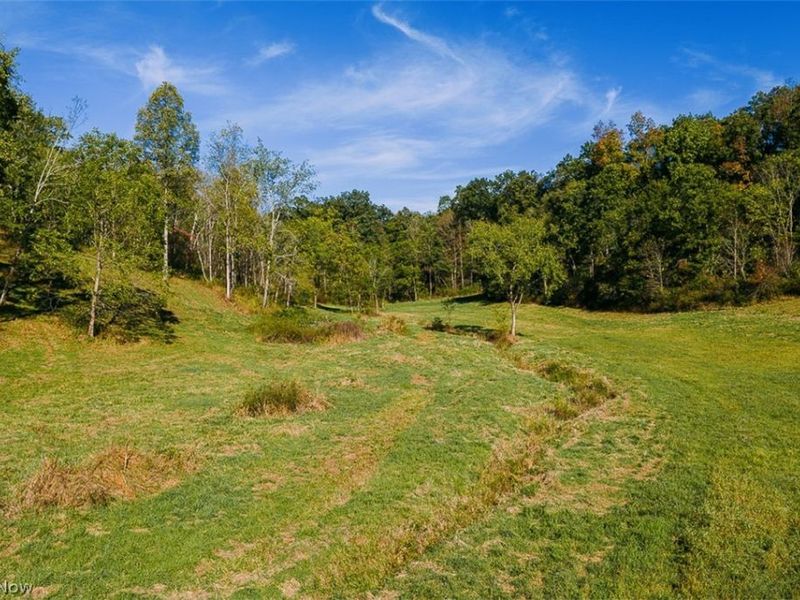 15 Glecoe Road SW, Dellroy, OH 44620 Photo 22