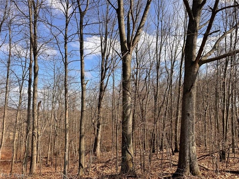 15 Glecoe Road SW, Dellroy, OH 44620 Photo 35