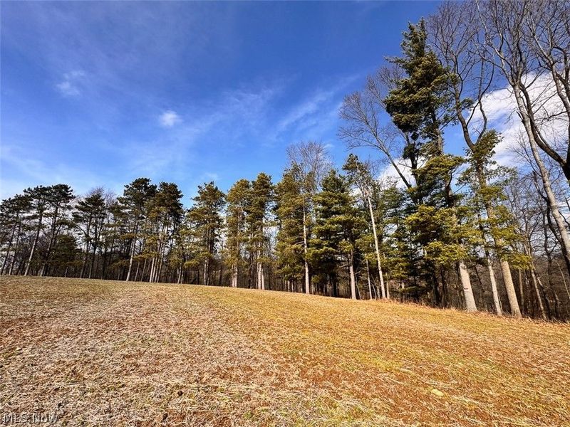 15 Glecoe Road SW, Dellroy, OH 44620 Photo 36