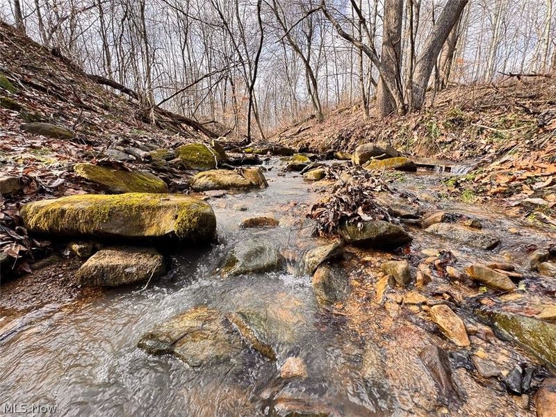 15 Glecoe Road SW, Dellroy, OH 44620 Photo 39