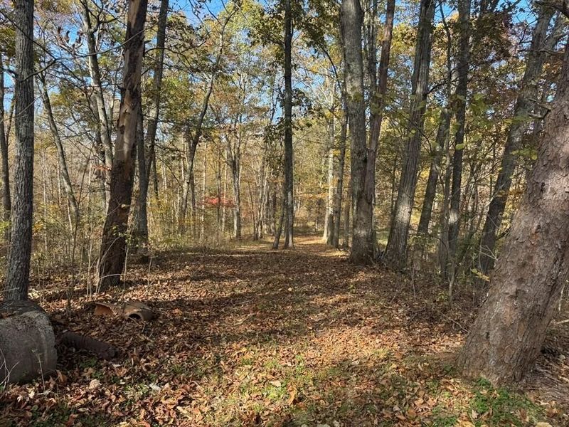 32045 Cabin Hill Road , Vinton, OH 45686 Photo 10