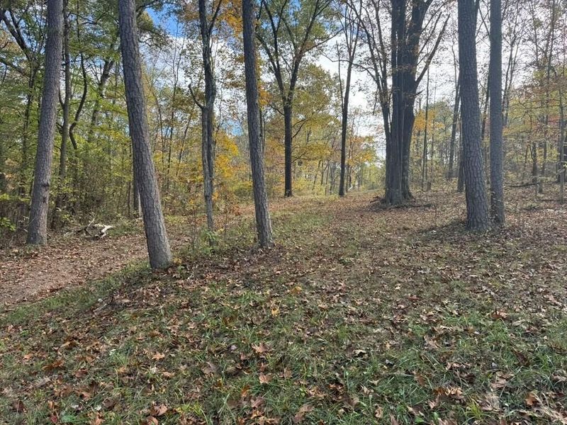 32045 Cabin Hill Road , Vinton, OH 45686 Photo 11