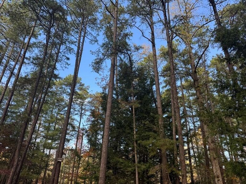 32045 Cabin Hill Road , Vinton, OH 45686 Photo 12