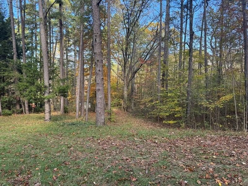 32045 Cabin Hill Road , Vinton, OH 45686 Photo 4