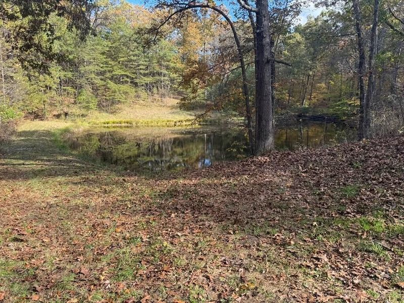 32045 Cabin Hill Road , Vinton, OH 45686 Photo 8