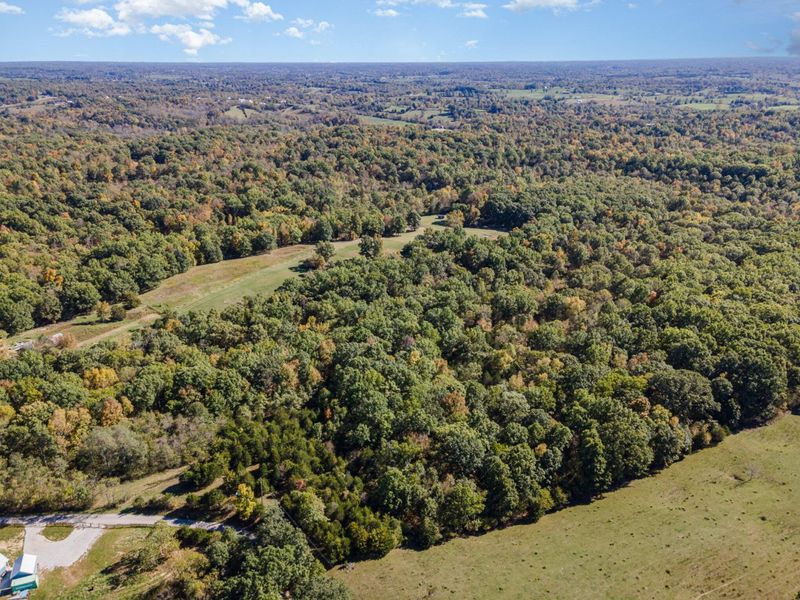 Corinth, KY 41010 Photo 10