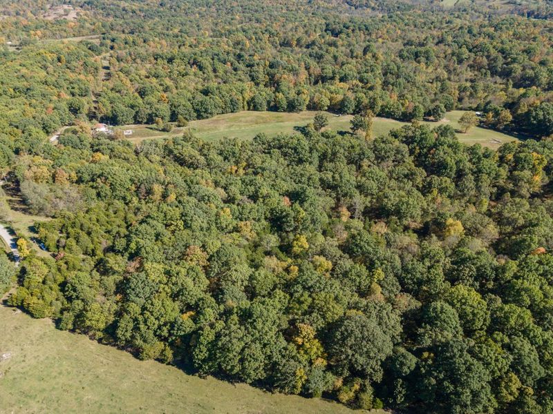 Corinth, KY 41010 Photo 11