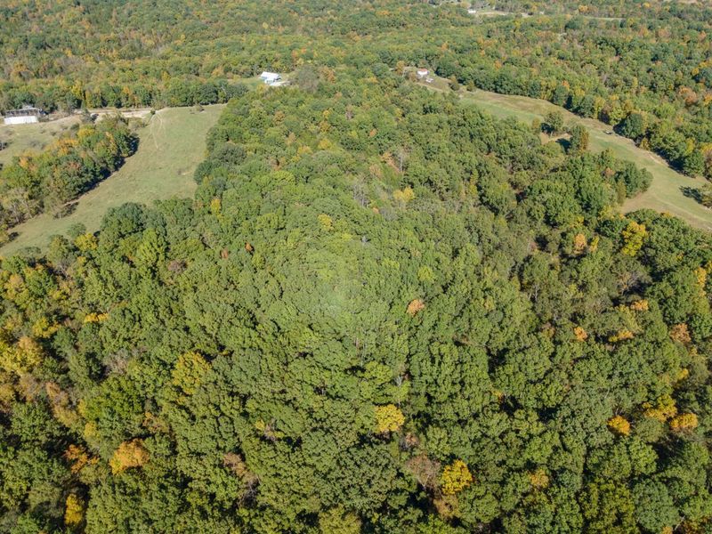 Corinth, KY 41010 Photo 12