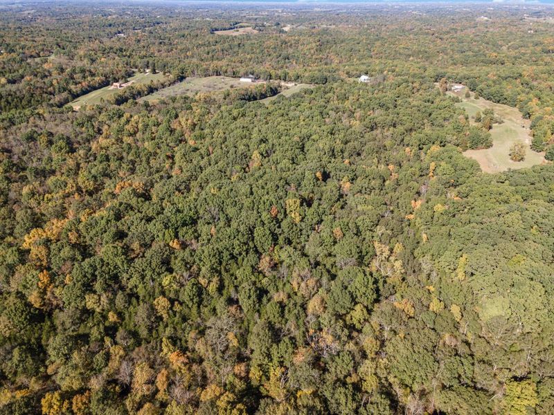 Corinth, KY 41010 Photo 2