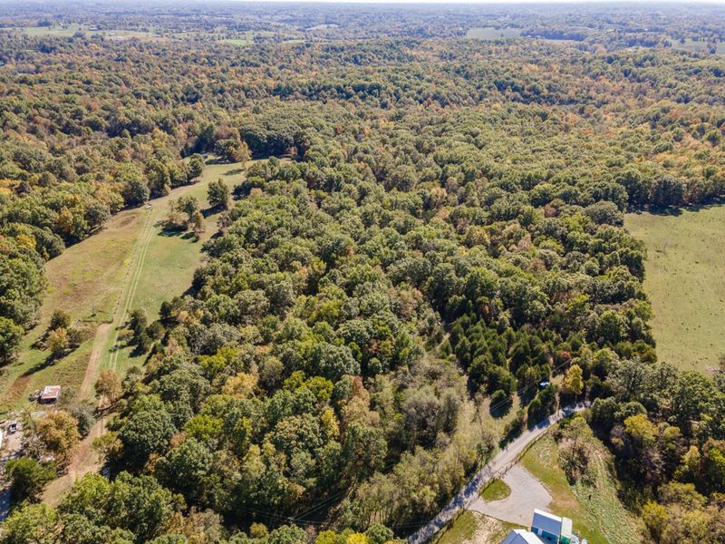 Corinth, KY 41010 Photo 6