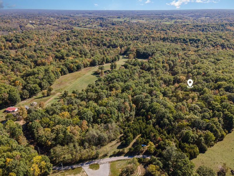 Corinth, KY 41010 Photo 7