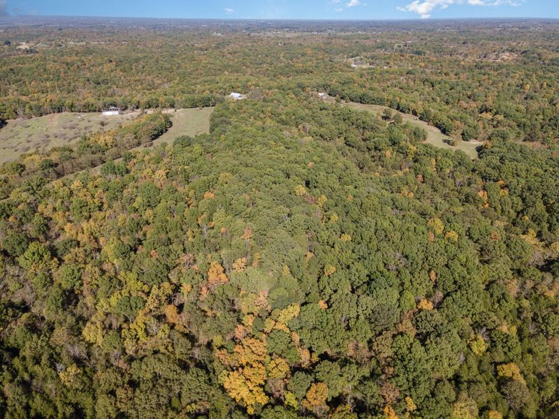 Corinth, KY 41010 Photo 8