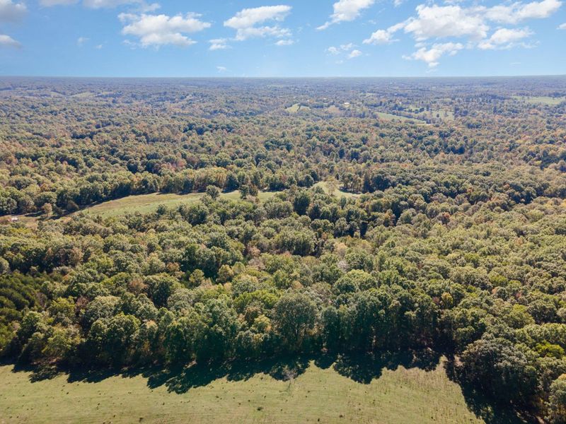 Corinth, KY 41010 Photo 9