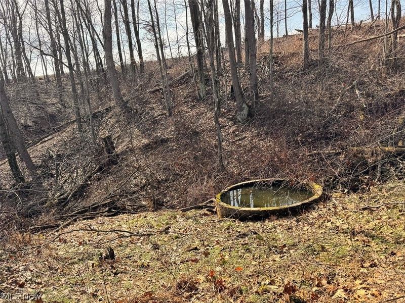 15 Glecoe Road SW, Dellroy, OH 44620 Photo 34