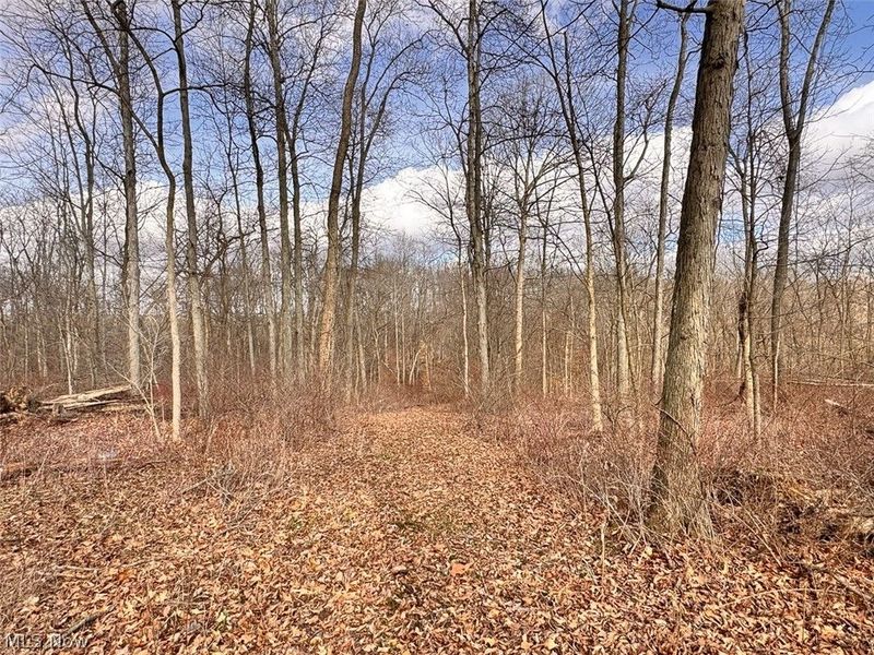 15 Glecoe Road SW, Dellroy, OH 44620 Photo 38