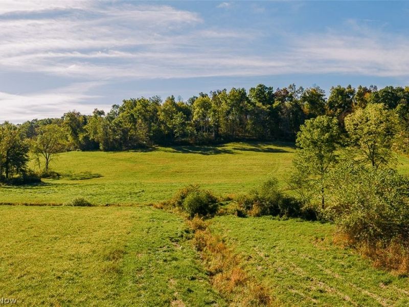 15 Glecoe Road SW, Dellroy, OH 44620 Photo 7