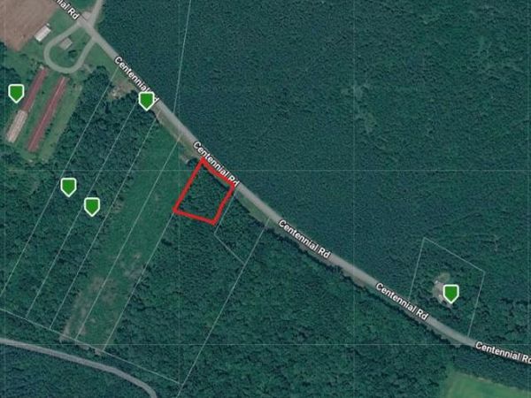 CENTENNIAL ROAD , VIENNA, MD 21869