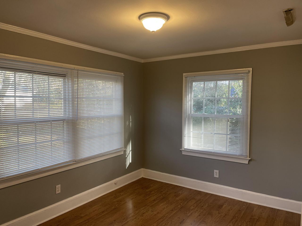 315 Cassina Road Photo 8