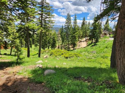 350 Snowshoe Rd, Bear Valley, CA 95223 Photo