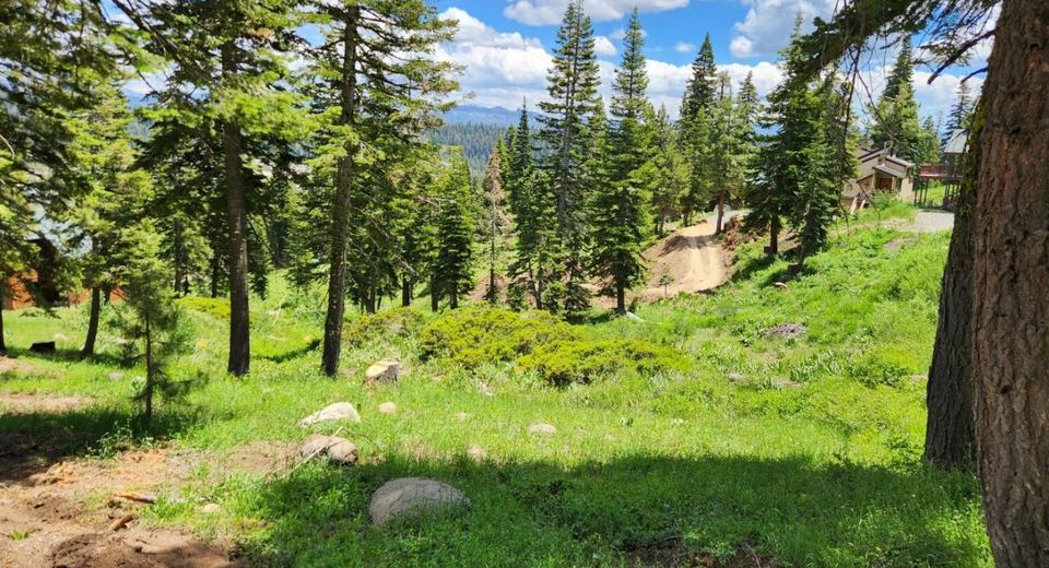 350 Snowshoe Rd, Bear Valley, CA 95223 Photo