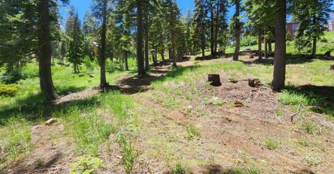 350 Snowshoe Rd, Bear Valley, CA 95223 Photo