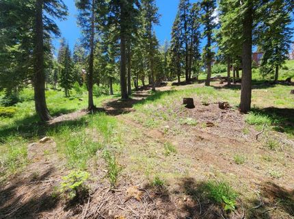 350 Snowshoe Rd, Bear Valley, CA 95223 Photo