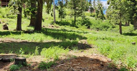 350 Snowshoe Rd, Bear Valley, CA 95223 Photo