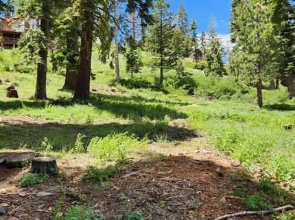 350 Snowshoe Rd, Bear Valley, CA 95223 Photo