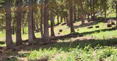 350 Snowshoe Rd, Bear Valley, CA 95223 Photo