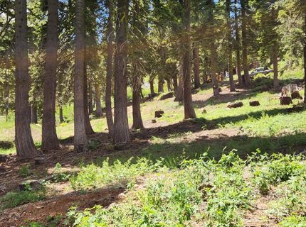350 Snowshoe Rd, Bear Valley, CA 95223 Photo