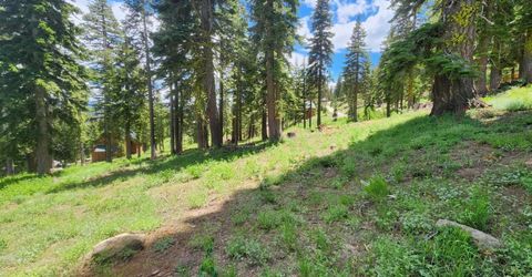 350 Snowshoe Rd, Bear Valley, CA 95223 Photo