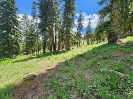 350 Snowshoe Rd, Bear Valley, CA 95223 Photo