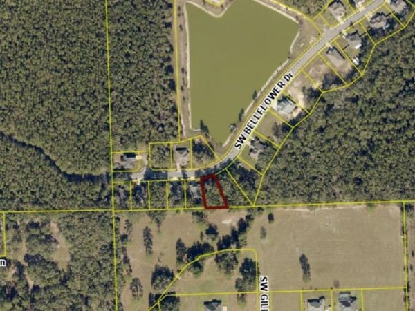 593 SW BELLFLOWER DRIVE , LAKE CITY, FL 32024