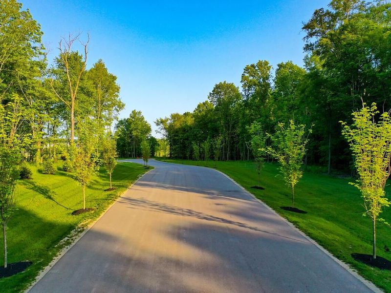 9680 Glenfield Avenue, Unit Lot 155, Plain City, OH 43064 Photo 31