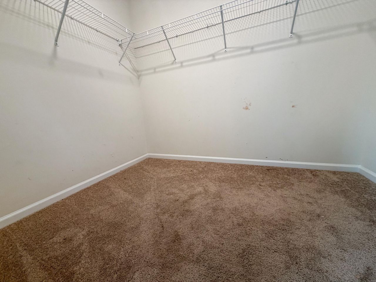 527 Adalina Drive Photo 20