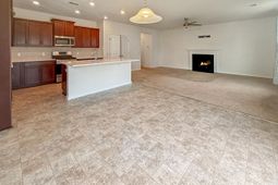 527 Adalina Drive photo 4