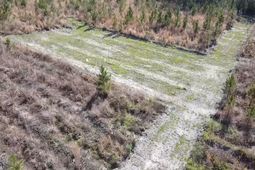 Lot 8 Amos Rd photo 4