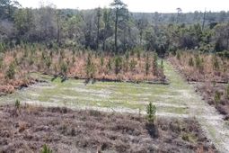 Lot 8 Amos Rd photo 4