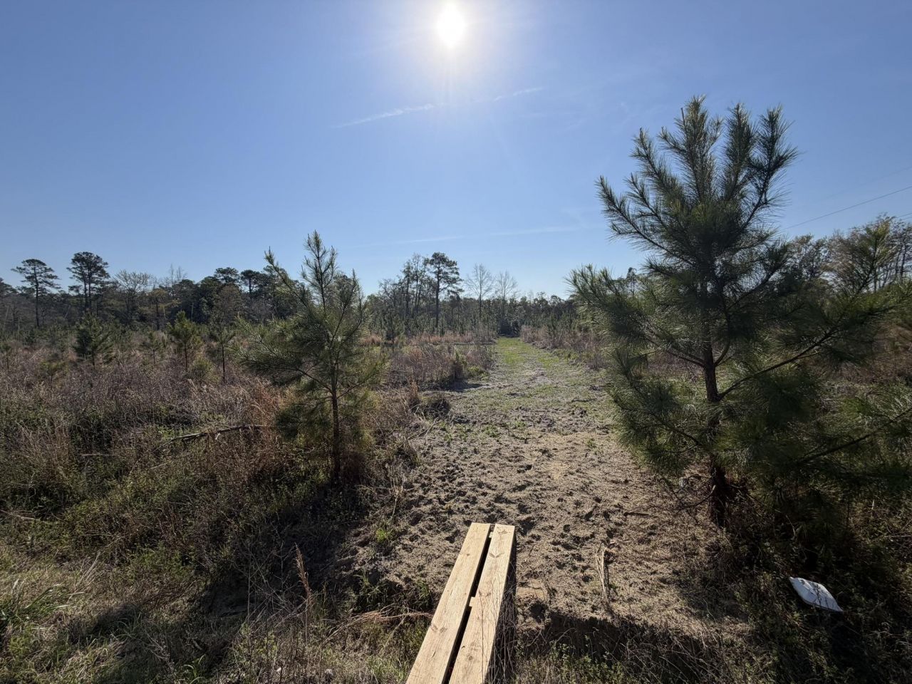 Lot 8 Amos Rd Photo 7