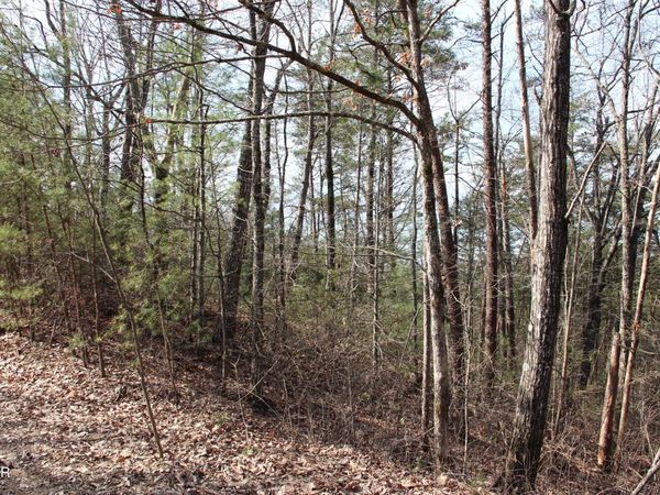 lot 19 Ridge View Drive, Sevierville, TN 37876
