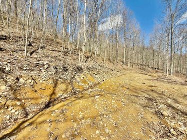 Lot 9 Brooklyn Way, Moatsville, WV 26405