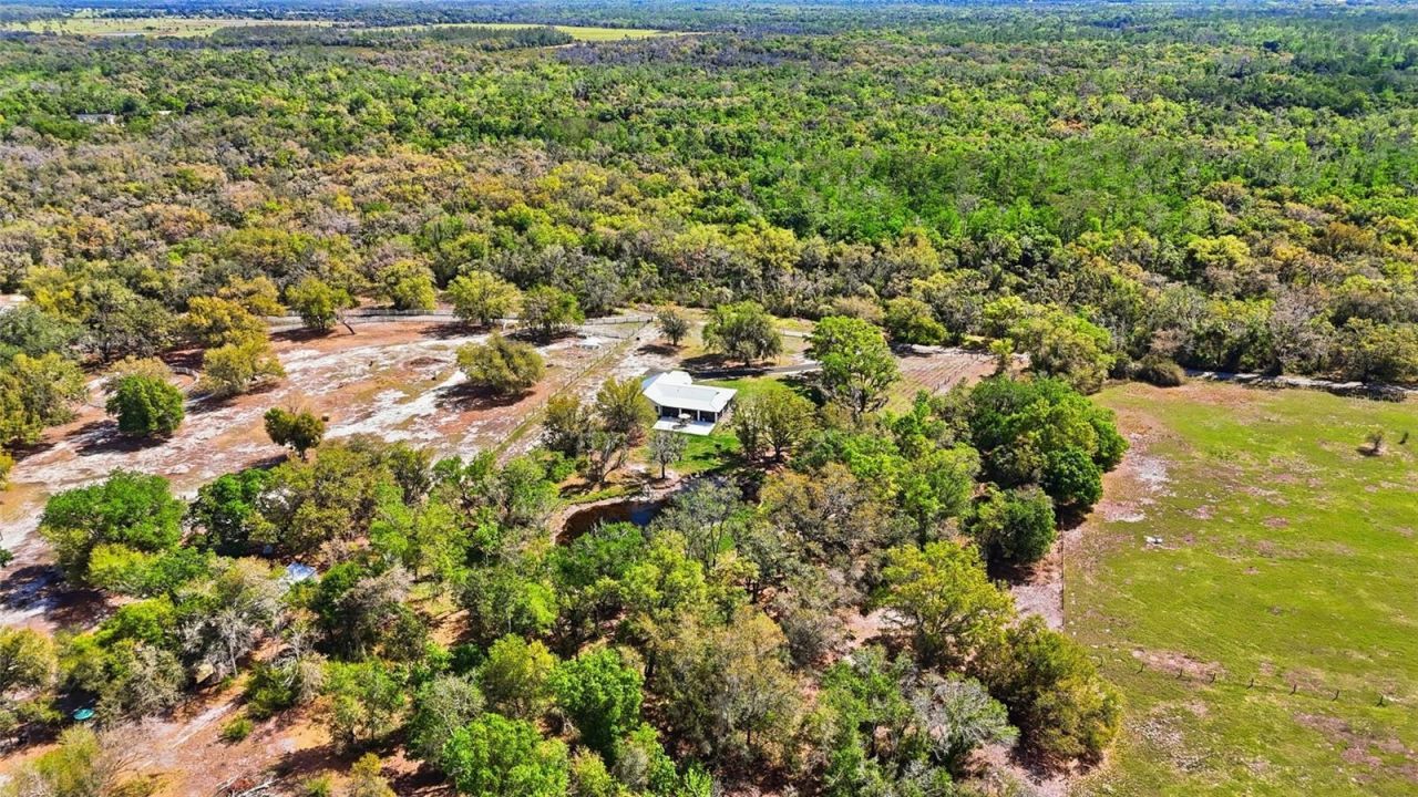 7825 SW Vineyard Terrace, Arcadia, FL 34269 Photo