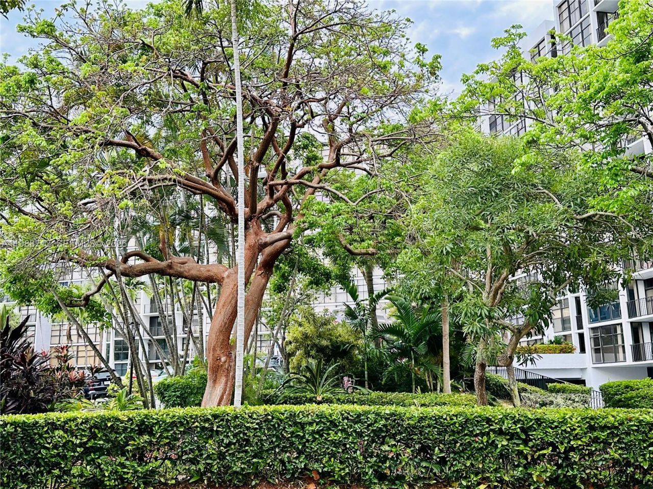 600 E Parkview Dr, Unit 316, Hallandale Beach, FL 33009 Photo