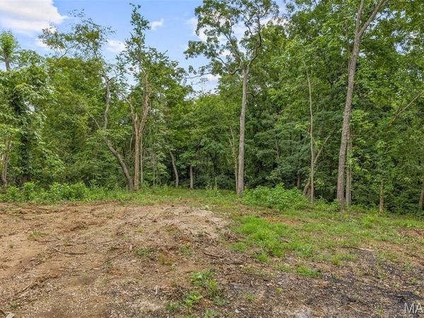 9793 Grove Drive, Bonne Terre, MO 63628