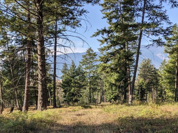 NNA 10 ac. New Chisholm Way , Bonners Ferry, ID 83805