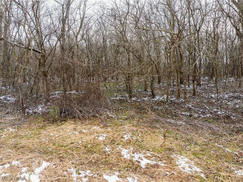 0 Raiders Road , Dresden, OH 43821 Photo 5