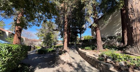 41016 Cornac Ter, Fremont, CA 94539 Photo