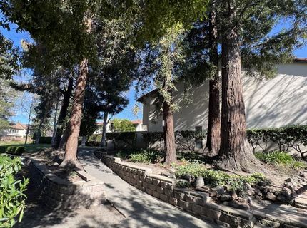 41016 Cornac Ter, Fremont, CA 94539 Photo