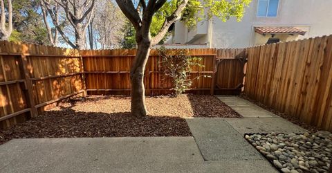 41016 Cornac Ter, Fremont, CA 94539 Photo